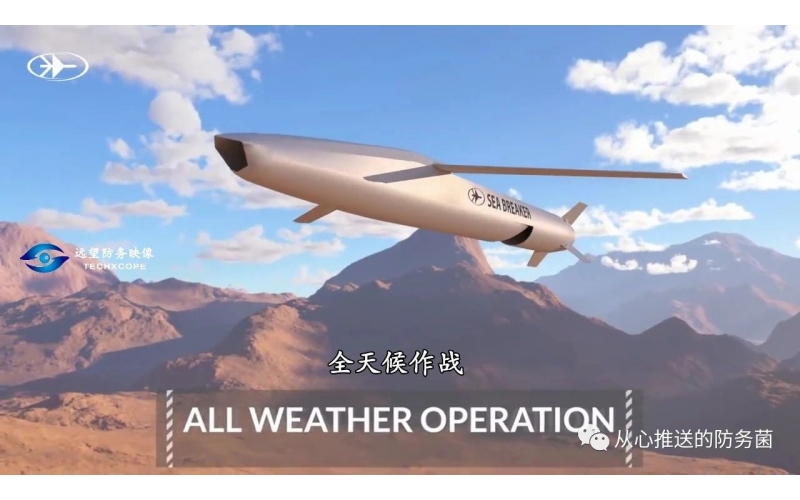 以色列拉斐爾第5代海/陸基遠程自主武器系統    